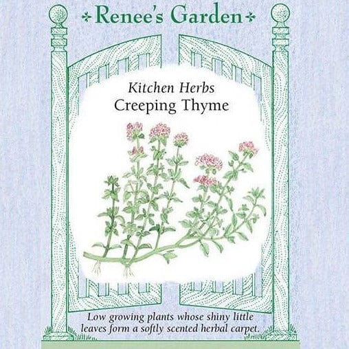 Creeping Thyme - Renee's Garden Seeds