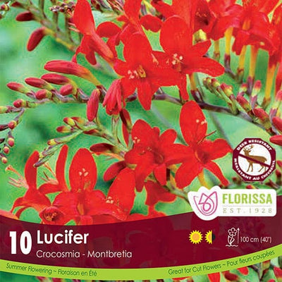 Crocosmia -  Lucifer, BONUS 10 Pack