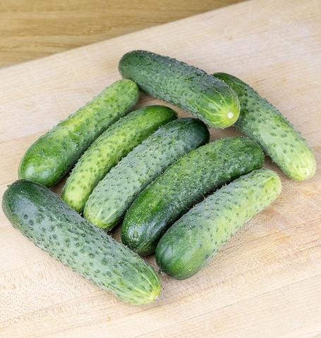 Cucumber Artist Gherkin - West Coast Seeds