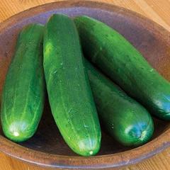 Cucumber Burpless Beauty - Burpee Seeds