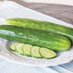 Cucumber Burpless Beauty - Burpee Seeds