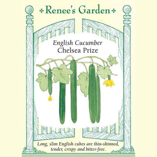 Cucumbers Chelsea Prize - Renee's Garden 