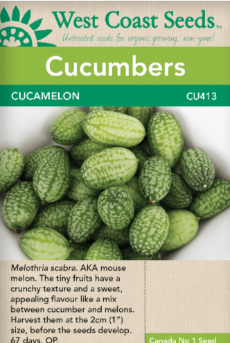 Cucumbers Cucamelon - West Coast Seeds