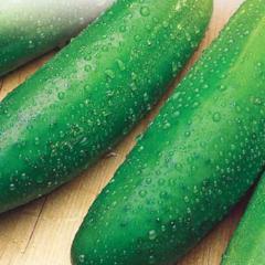 Cucumber Earliest Mincu - McKenzie Seeds