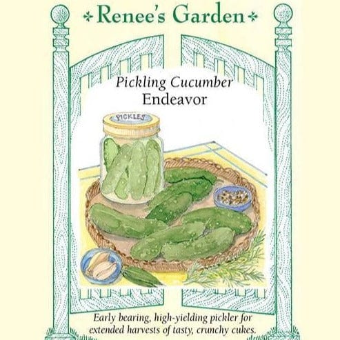 Cucumber Endeavor - Renee's Garden Seeds