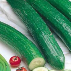 Cucumber English Long Telegraph - McKenzie Seeds