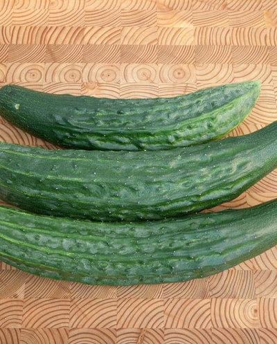 Cucumber Green Dragon - West Coast Seeds