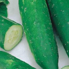 Cucumber Improved Long Green - McKenzie Seeds