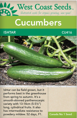 Cucumber Ishtar - West Coast Seeds