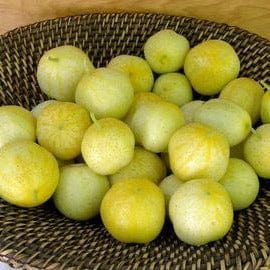 Cucumber Lemon - Renee's Garden Seeds