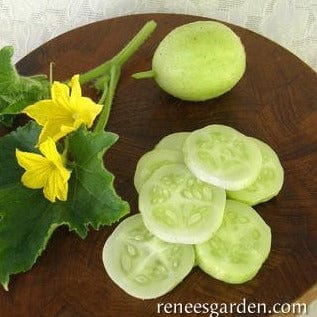 Cucumber Lemon - Renee's Garden Seeds