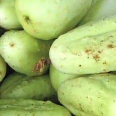 Cucumber Lillie Mae Little White - Saanich Organics