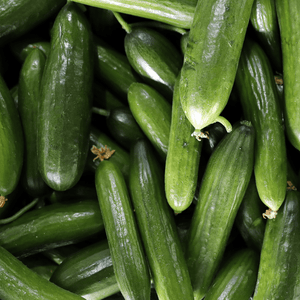 Cucumber Muncher - Salt Spring Seeds