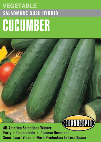 Cucumber Saladmore Bush Hybrid - Cornucopia Seeds