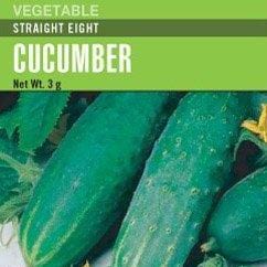 Cucumber Straight Eight - Cornucopia Seeds 