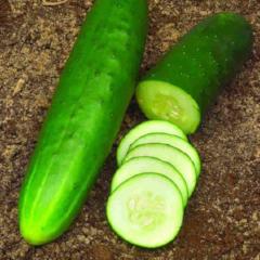 Cucumber Straight Eight - McKenzie Seeds