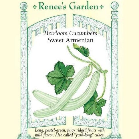Cucumber Sweet Armenian - Renee's Garden Seeds