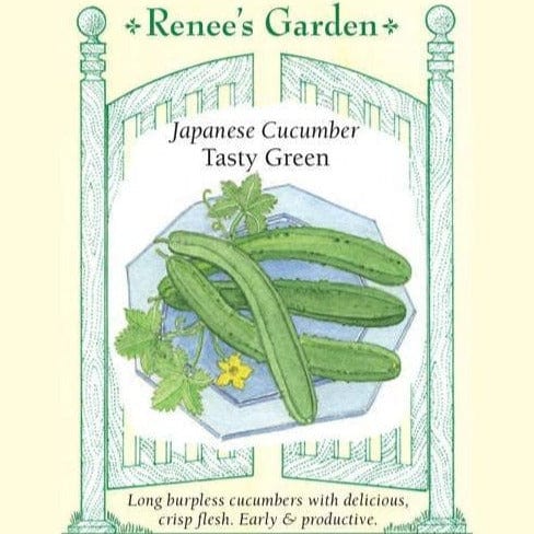 Cucumber Tasty Green - Renee's Garden Seeds