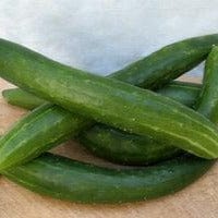 Cucumber Tasty Green - Renee's Garden Seeds