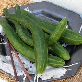 Cucumber Tasty Green - Renee's Garden Seeds