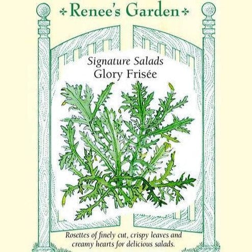 Curly Endive Glory Frisee - Renee's Garden Seeds