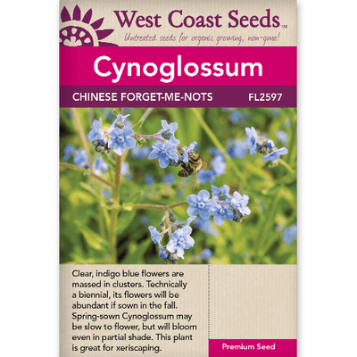 Cynoglossum Forget-Me-Nots - West Coast Seeds