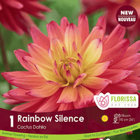 Dahlia - Rainbow Silence