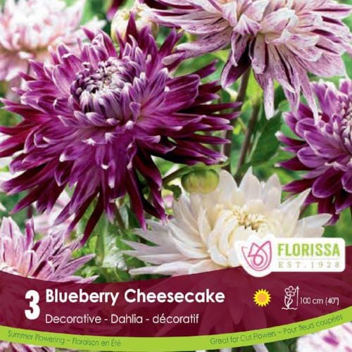 Dahlias Blueberry Cheesecake