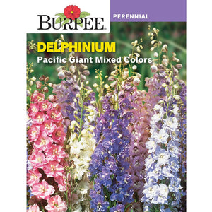 Delphinium Pacific Giant Mixed Colours - Burpee Seeds