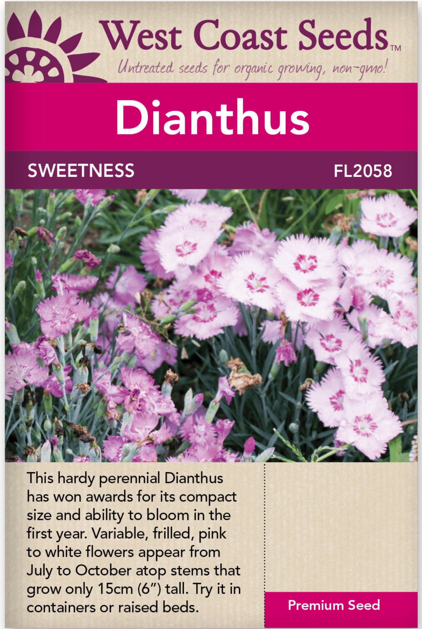 Dianthus Sweetness - West Coast Seeds
