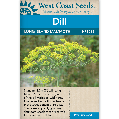 Dill Long Island Mammoth - West Coast Seeds