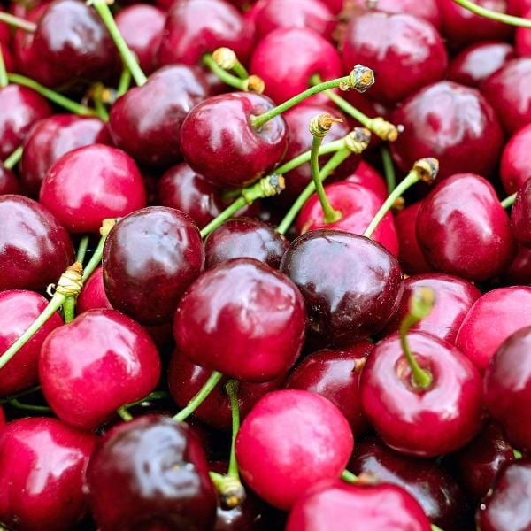 Dwarf Cherries