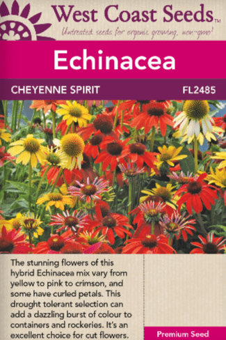 Echinacea Cheyenne Spirit - West Coast Seeds