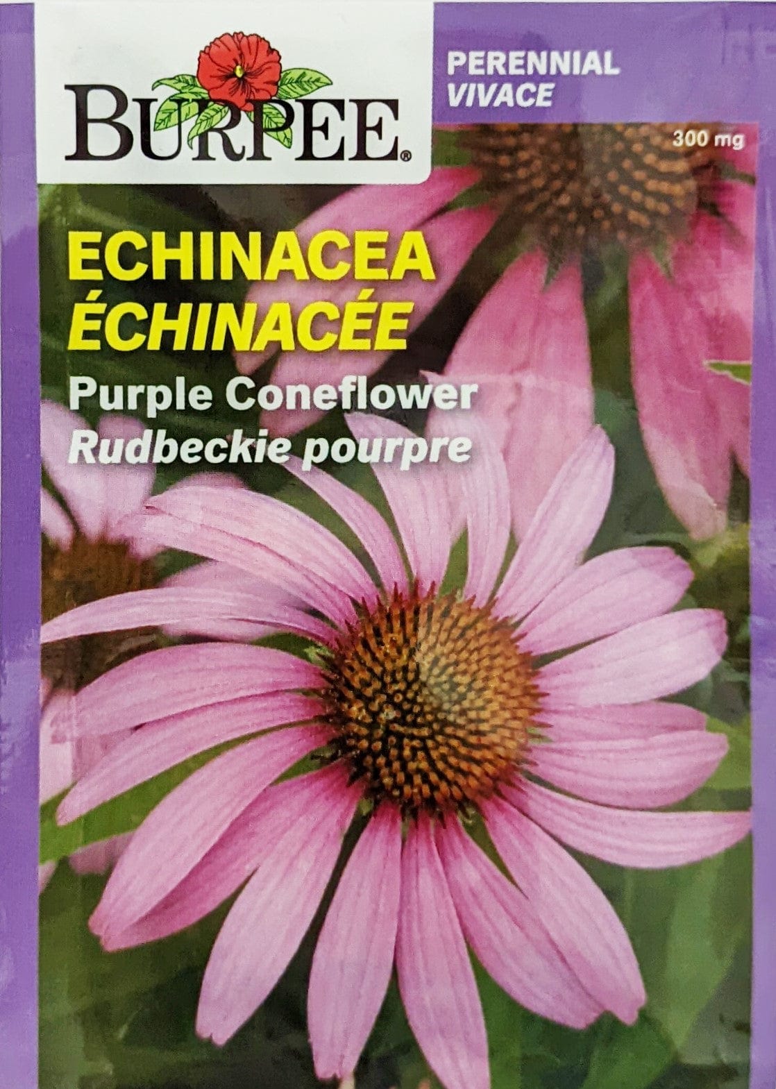 Echinacea Purple Cone - Burpee Seeds