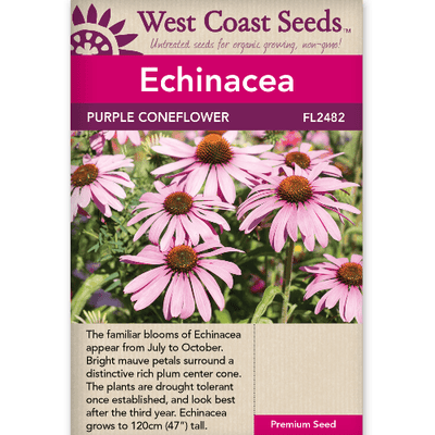 Echinacea Purple Coneflower - West Coast Seeds