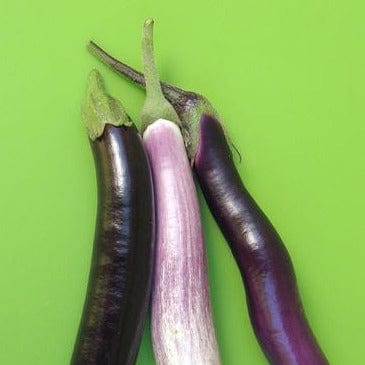Eggplant Asian Trio - Renee's Garden Seeds