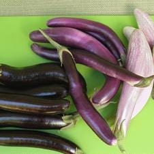 Eggplant Asian Trio - Renee's Garden Seeds