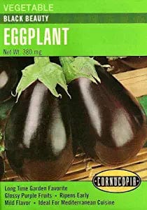 Eggplant Black Beauty - Cornucopia Seeds