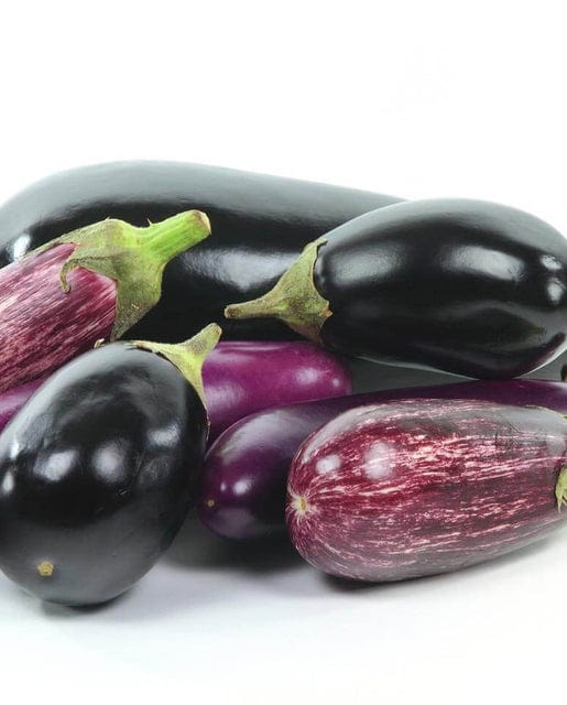 Eggplant Blend - West Coast Seeds