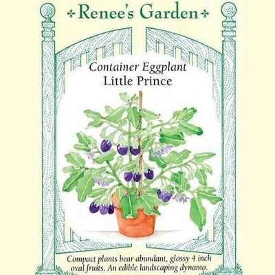 Eggplant Little Prince - Renee's Garden Seeds