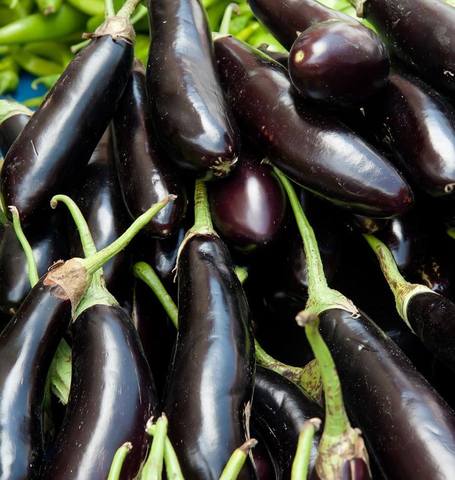 Eggplant Long Purple - West Coast Seeds