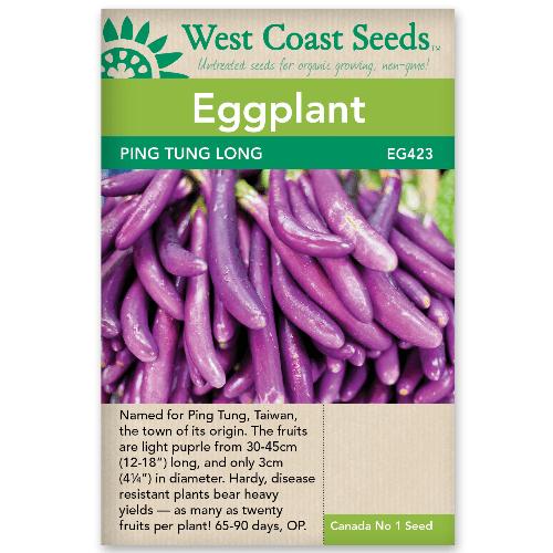 Eggplant Ping Tung Long - West Coast Seeds