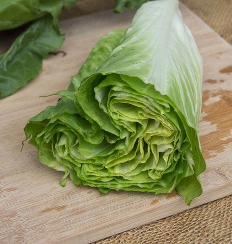 Endive Sugar Loaf - West Coast Seeds