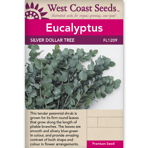 Eucalyptus Silver Dollar - West Coast Seeds