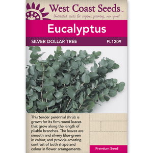 Eucalyptus Silver Dollar - West Coast Seeds