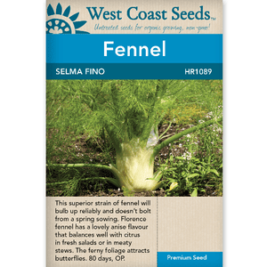 Fennel Selma Fino - West Coast Seeds
