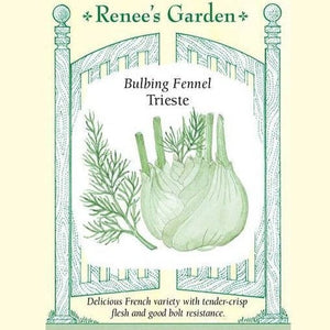 Fennel Trieste Bulbing - Renee's Garden Seeds