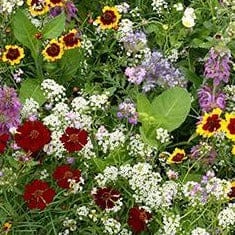 Scatter Can Flower Power - Renee's Garden Seeds