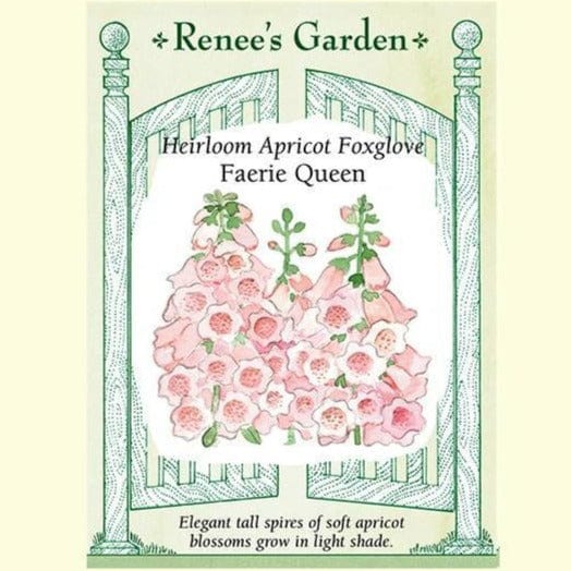 Foxglove Faerie Queen - Renee's Garden Seeds