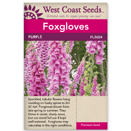 Foxgloves Purple - West Coast Seeds
